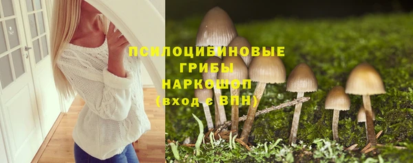 мяу мяу мука Вяземский