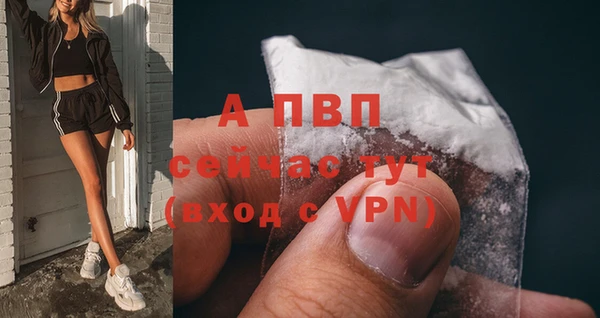 spice Вязьма