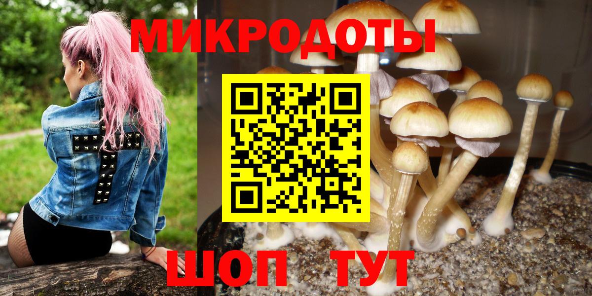 Ейск  Псилоцибиновые грибы GOLDEN TEACHER  Вход с VPN 