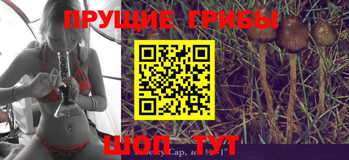 Галлюциногенные грибы Cubensis Ейск